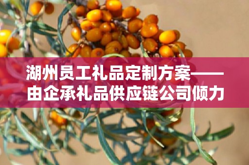 湖州员工礼品定制方案——由企承礼品供应链公司倾力打造