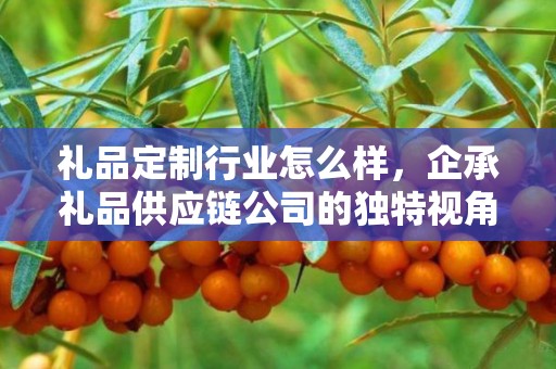礼品定制行业怎么样，企承礼品供应链公司的独特视角与深度洞察